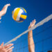PALLAVOLO – Formazione squadra CRAL Angelini Abruzzo