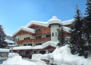 Hotel Pineta