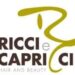 Ricci e capricci