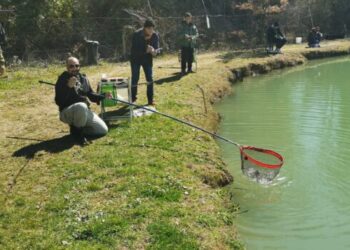 Gara di pesca