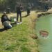 Gara di pesca