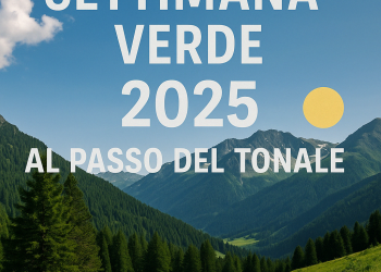 🌲 Settimana Verde 2025 al Passo del Tonale: natura, relax e divertimento per tutti!