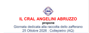 Potrebbe interessarti anche...